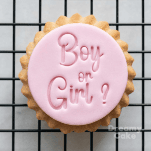 Boy or Girl Gender Reveal Cookie Stamp | Fondant Embosser