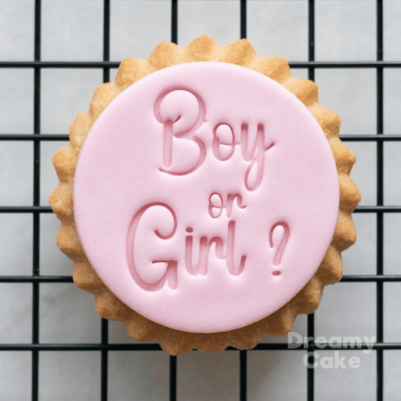 Boy or Girl Gender Reveal Cookie Stamp | Fondant Embosser