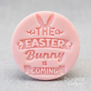 The Easter Bunny Is Coming Cookie Stamp | Fondant Embosser