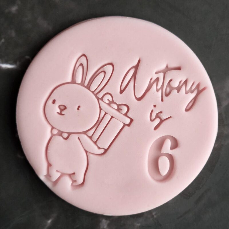 Stamp Cute Bunny