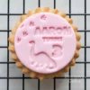 Personalised Dinosaur Cookie Stamp
